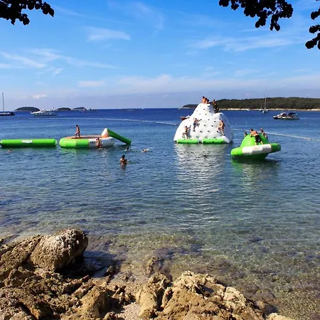 Family Friendly House With A Swimming Pool Mofardini, Istria - Sredisnja Istra - 20586 Holiday home *