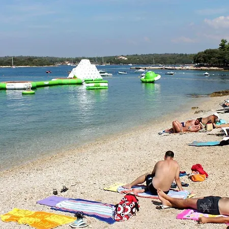 Family Friendly House With A Swimming Pool Mofardini, Istria - Sredisnja Istra - 20586 Mofardini